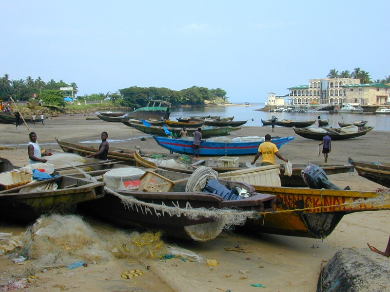 marché de poissons