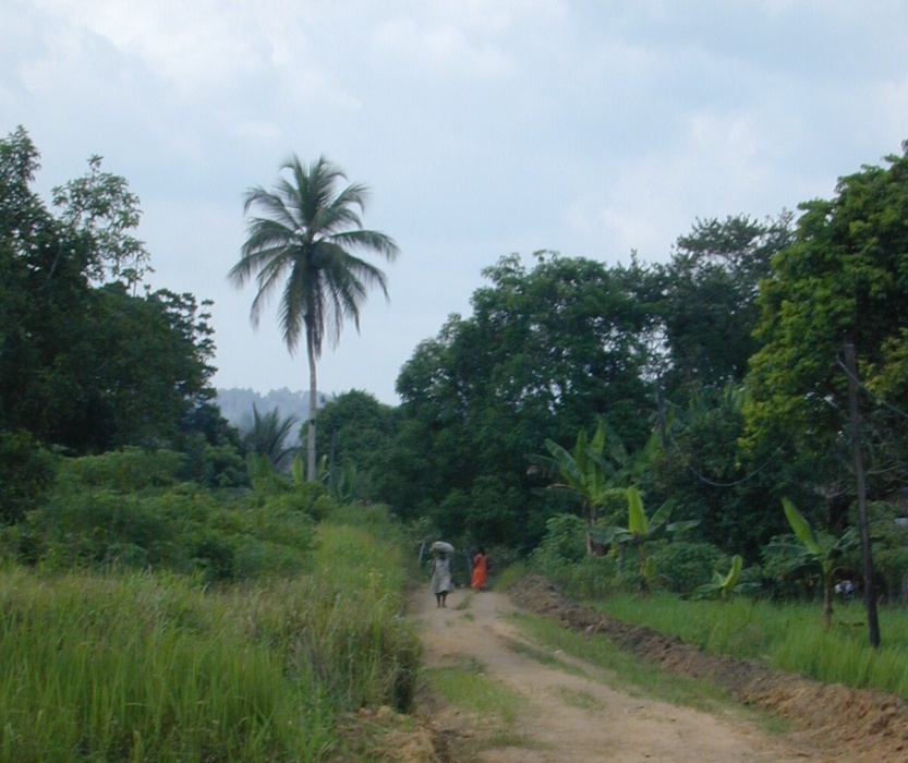 chemin à Mangamba