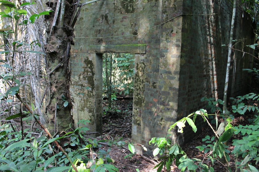 des mures d'il y a plus de cent ans