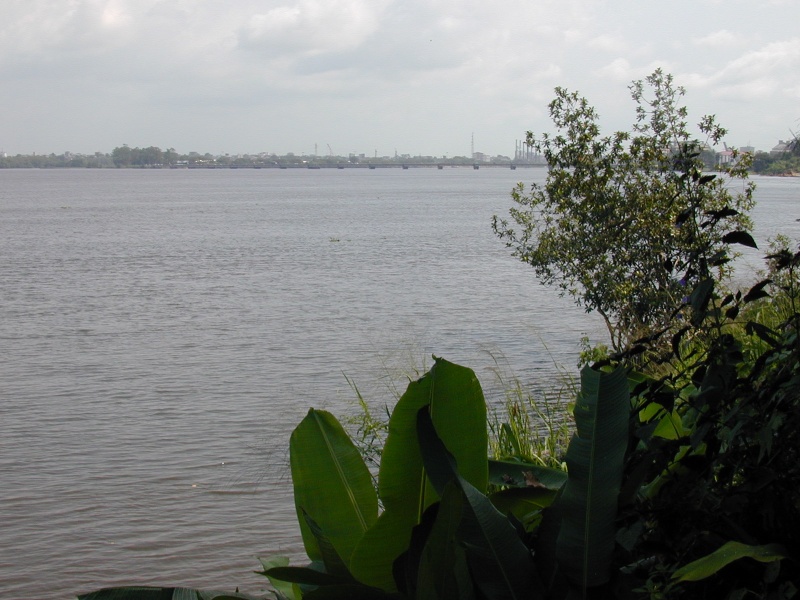 le Wouri, le pont, Douala, vue de Bonabéri