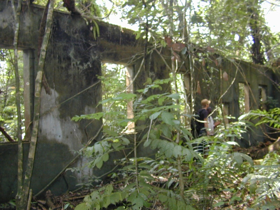 les mures de la station missionaire prises par la végétation